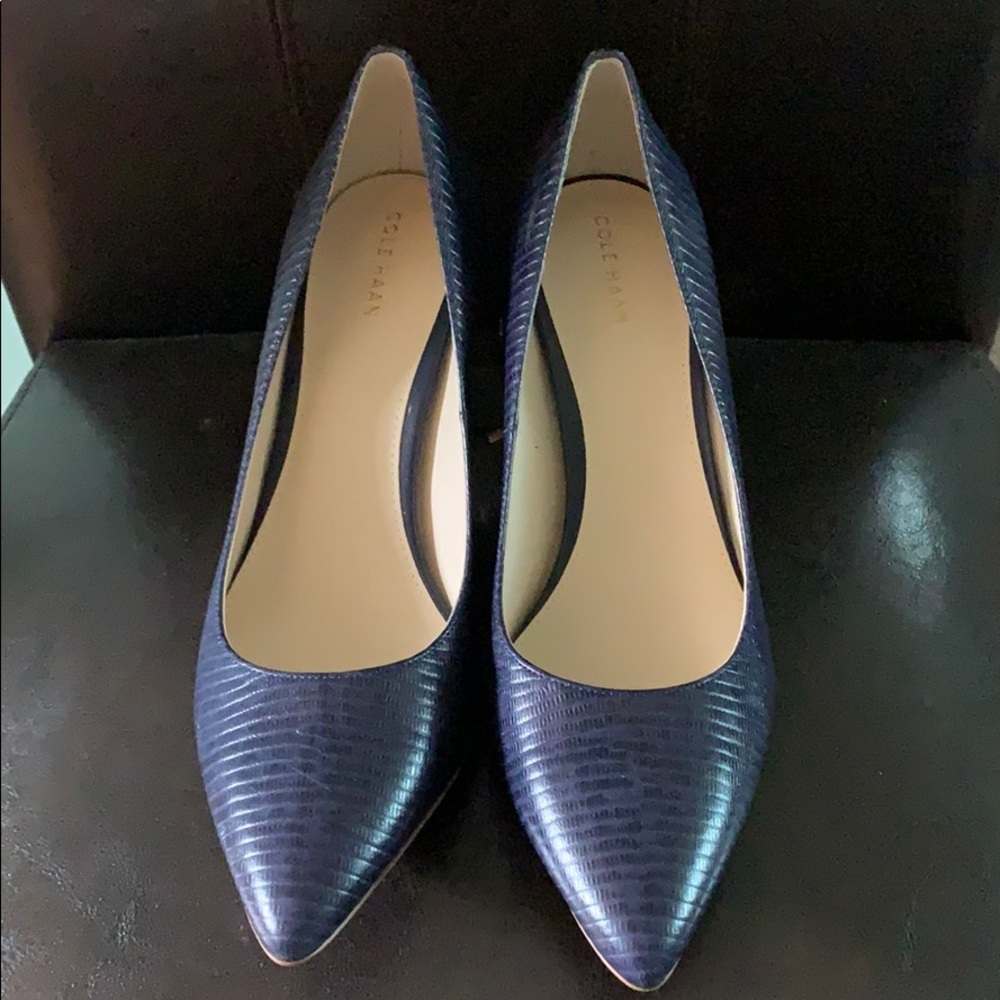 Navy Cole Haan Heels
